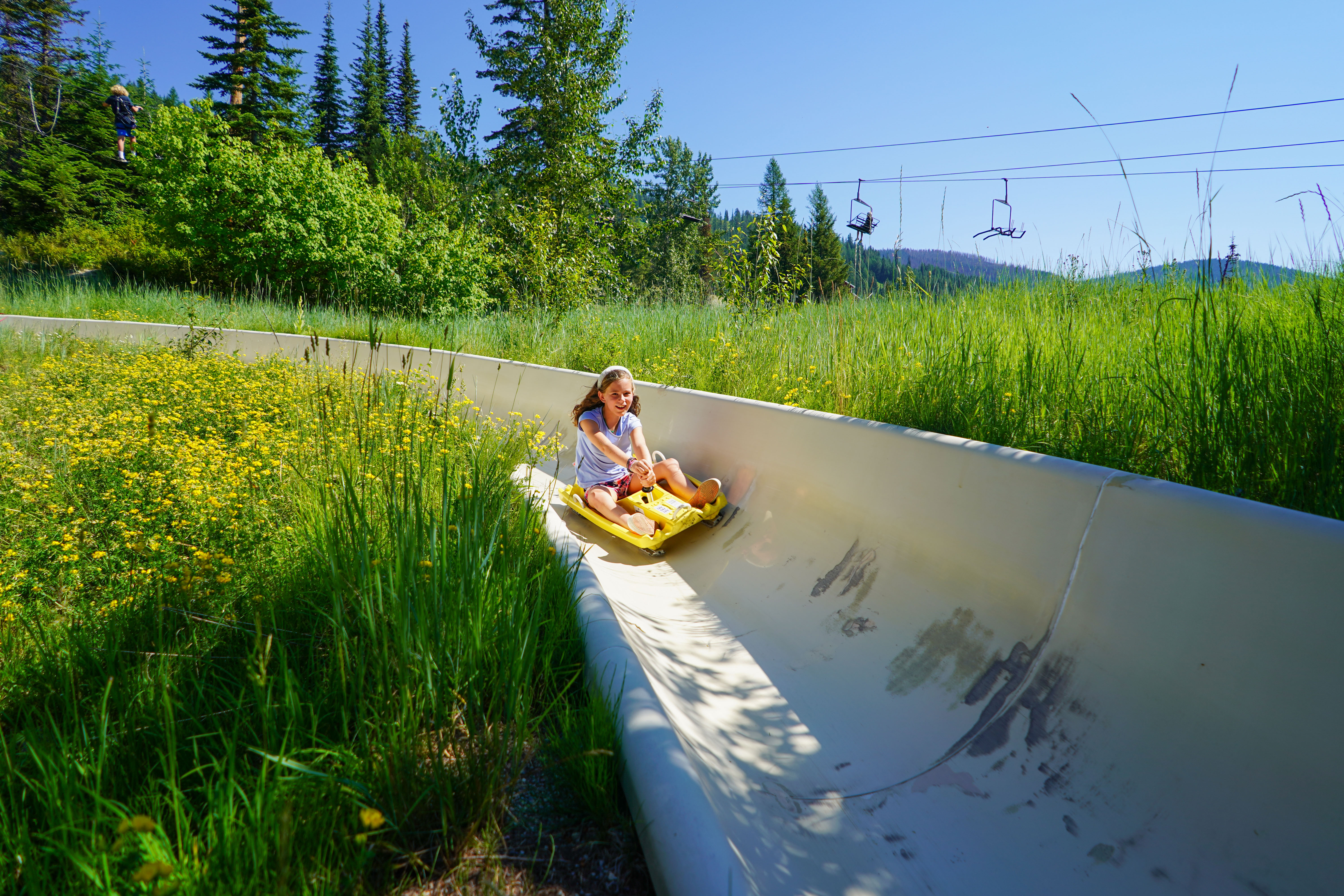 Alpine Slides at Whitefish Mountain Resort | Whitefish Montana Lodging,  Dining, and Official Visitor Information, image size:6000x4000