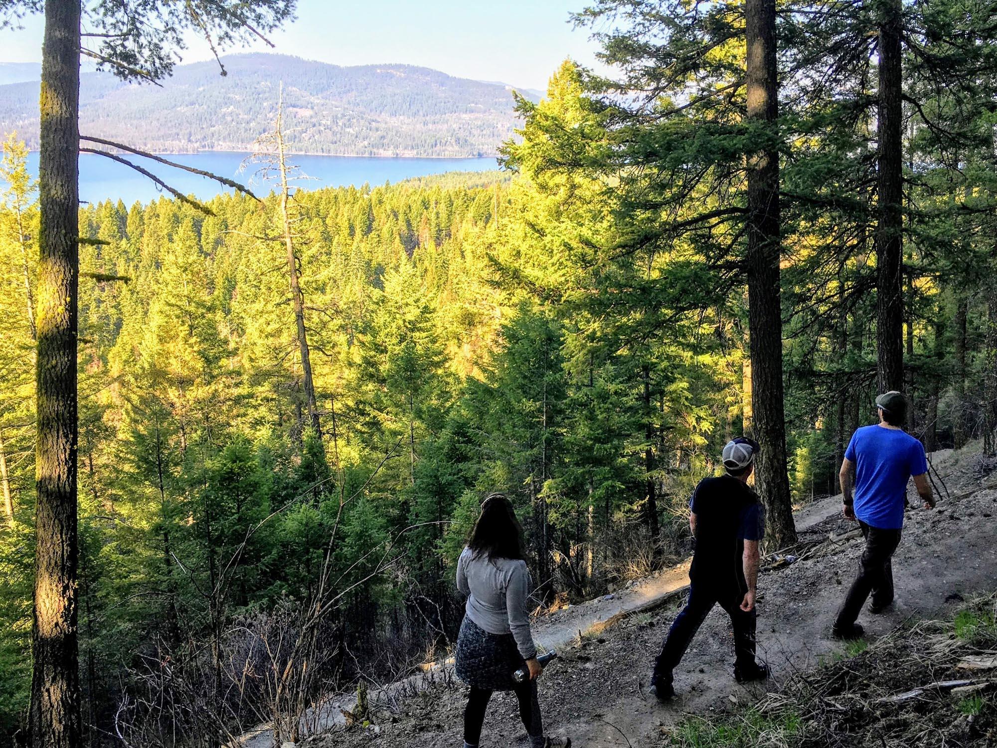 Hiking along The Whitefish Trail in Haskill Basin