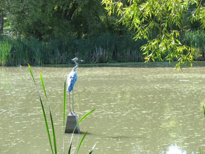 Pond at Riverside Park – Jan Metzmaker
