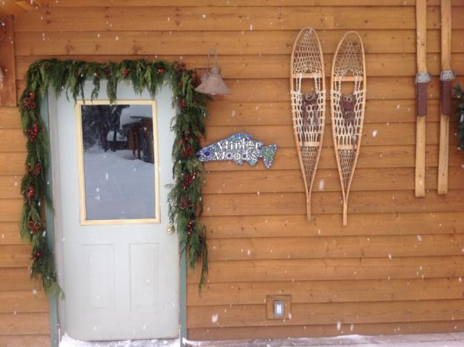 Welcome to Winter Woods! – Sara Parr