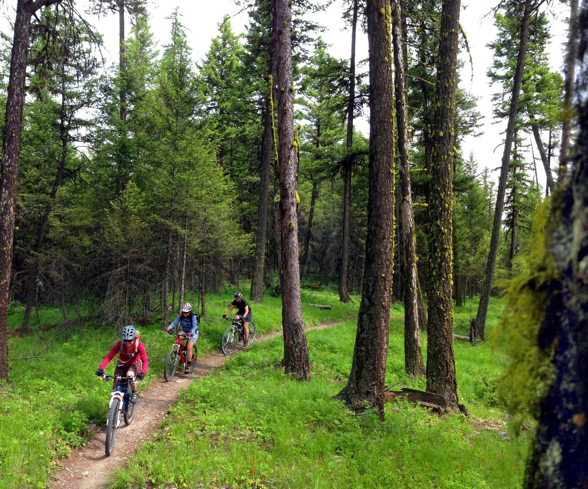 Exploring The Whitefish Trail Whitefish Montana Lodging, Dining, and