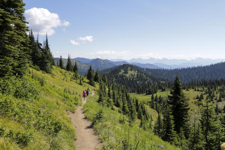 Danny On Trail | Whitefish Montana Lodging, Dining, and Official ...