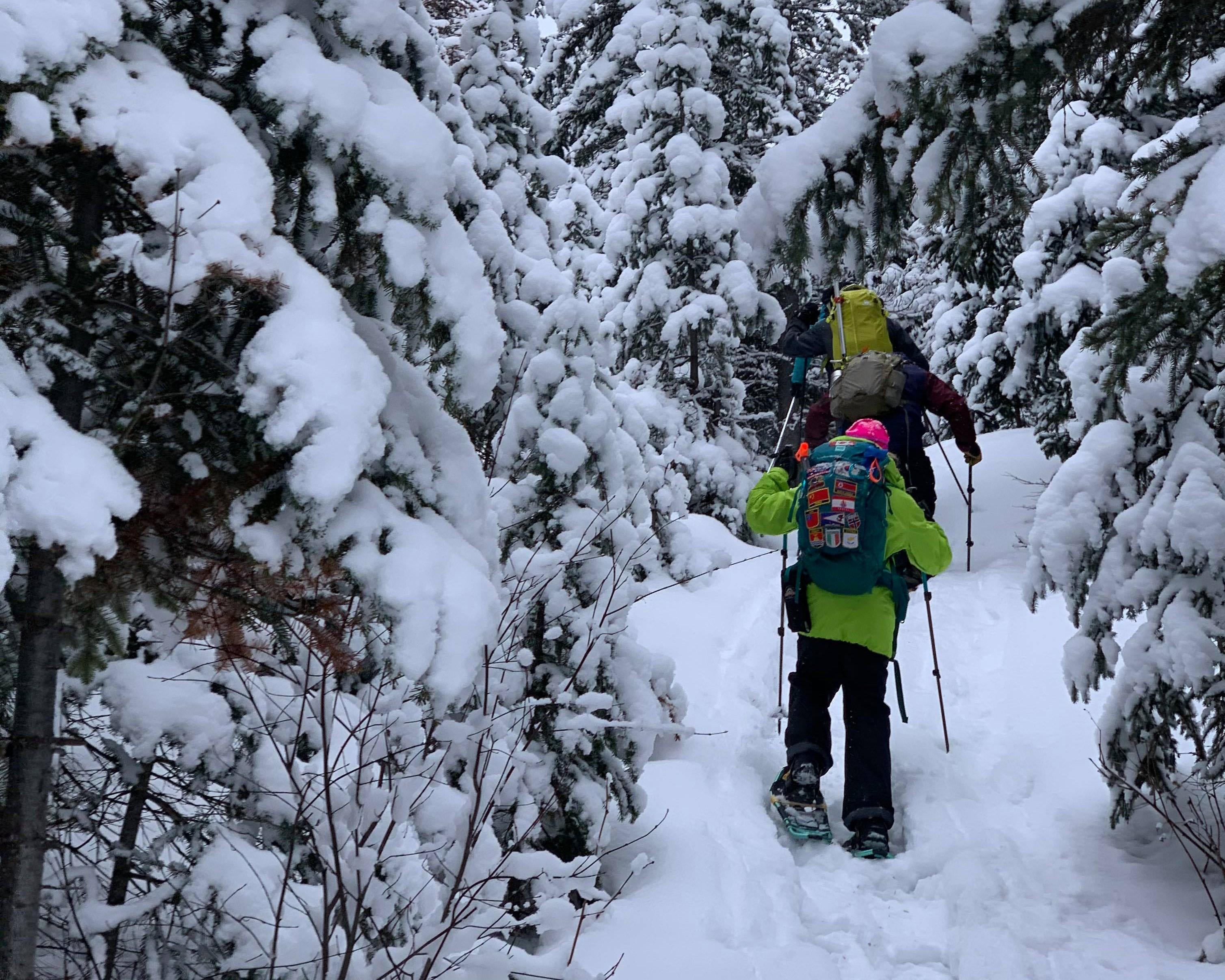 Learn to Snowshoe!