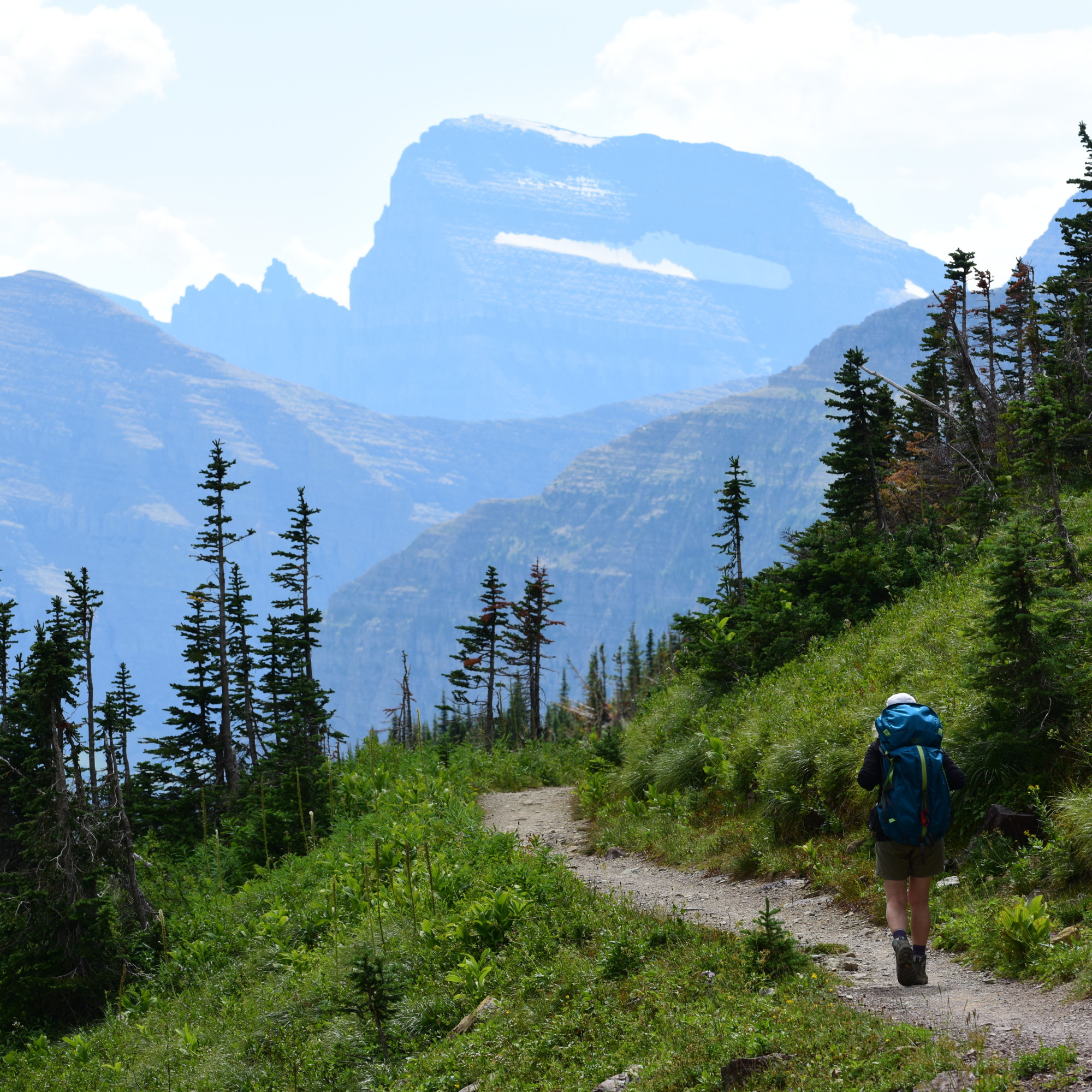 Summer Garden Wall Inn