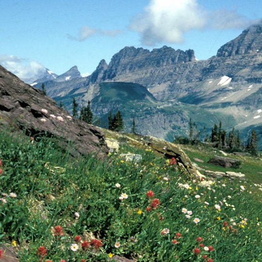 Summer Garden Wall Inn