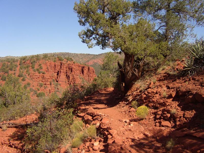 are-dogs-allowed-in-red-rock-state-park