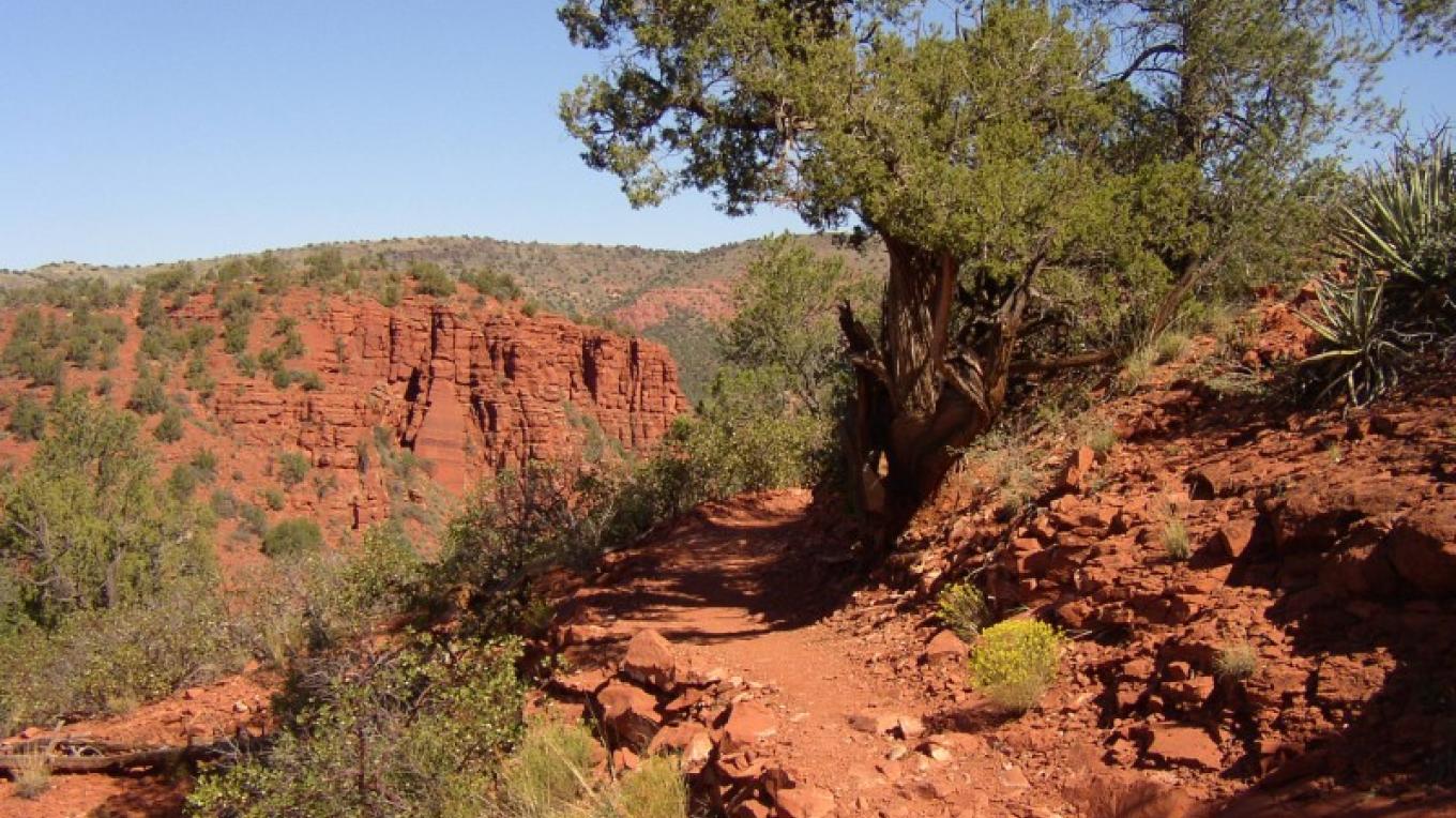 Are Dogs Allowed In Red Rock State Park are-dogs-allowed-in-red-rock-state-park
