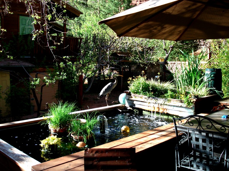 The Canyon Wren - Cabins for Two | Sedona Verde Valley