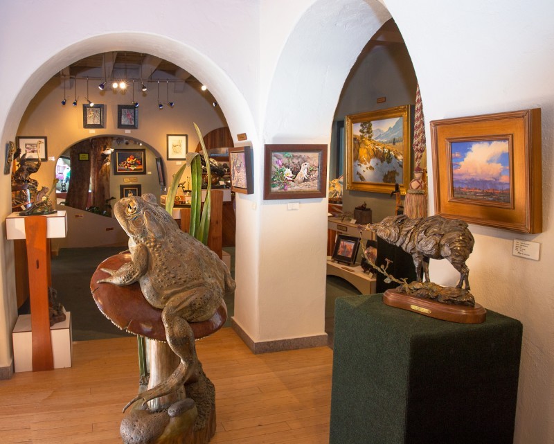 Rowe Fine Art Gallery | Sedona Verde Valley