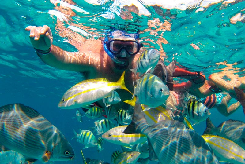 people and fish underwater snorkeling
