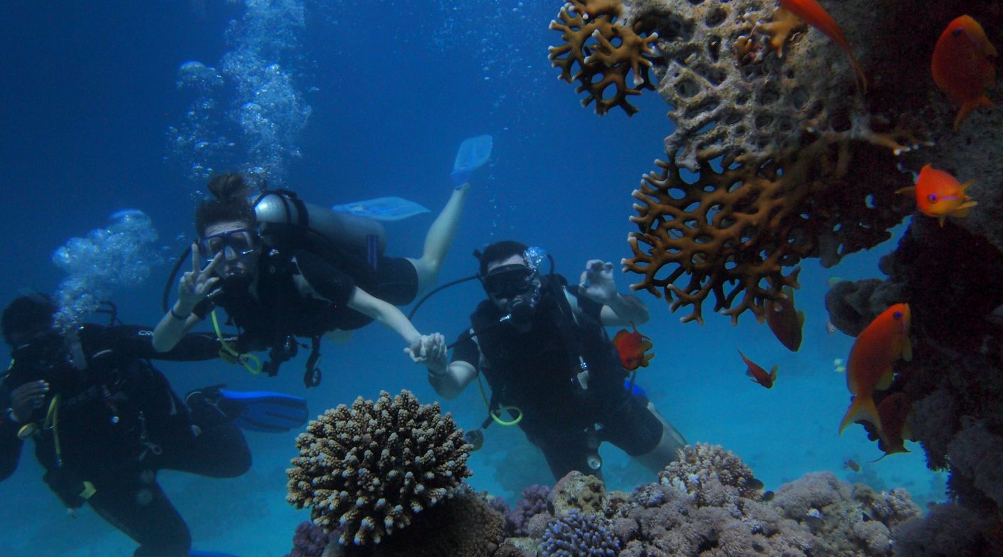 Small group of people scuva diving next to some colorful coral