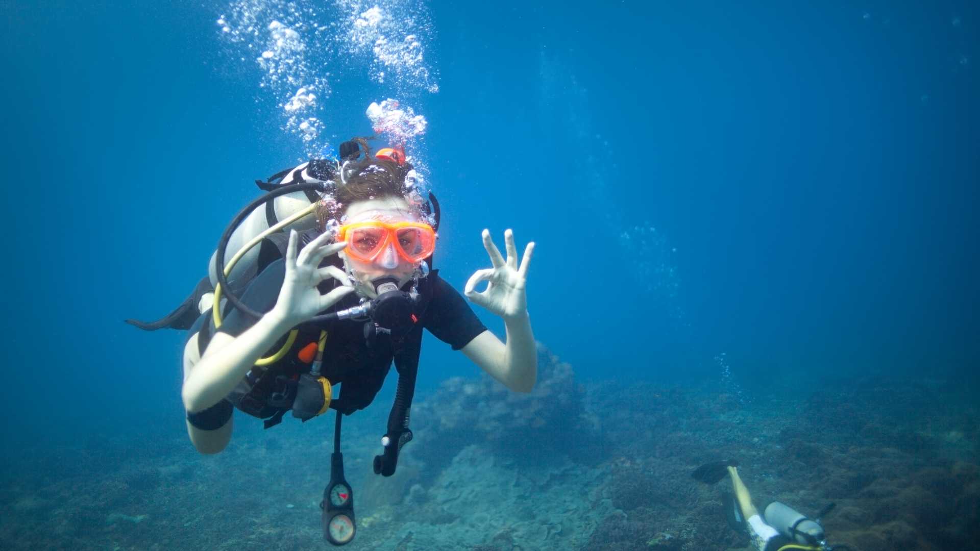 Costa Maya Discovery Dive for First Timers image