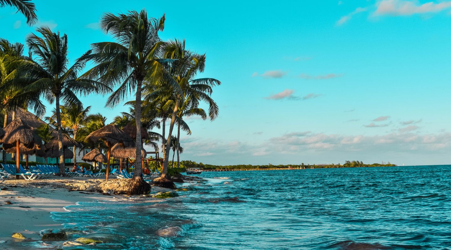 Side view of the shore at dusk, with the blue ocean on one side, and palm trees on the other. 