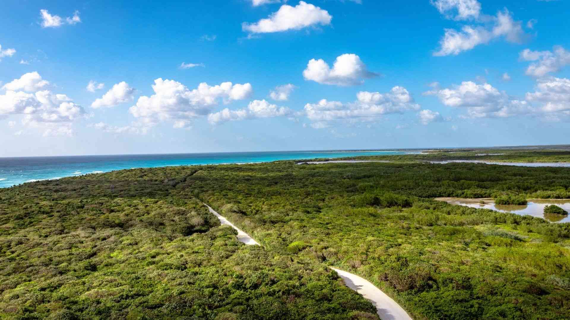 Cozumel Private Jeep Tour with Lunch and Snorkel | Cozumel Tourbase |  Cruise Friendly