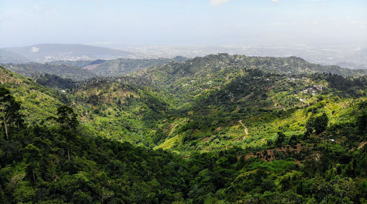 Aereal view of Jamaica's Blue Mountain. A mountain covered in lush greenery under a bright blue sky.