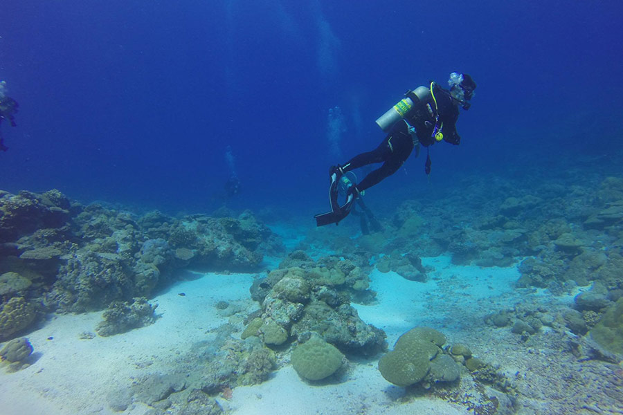 Diving in Roatan