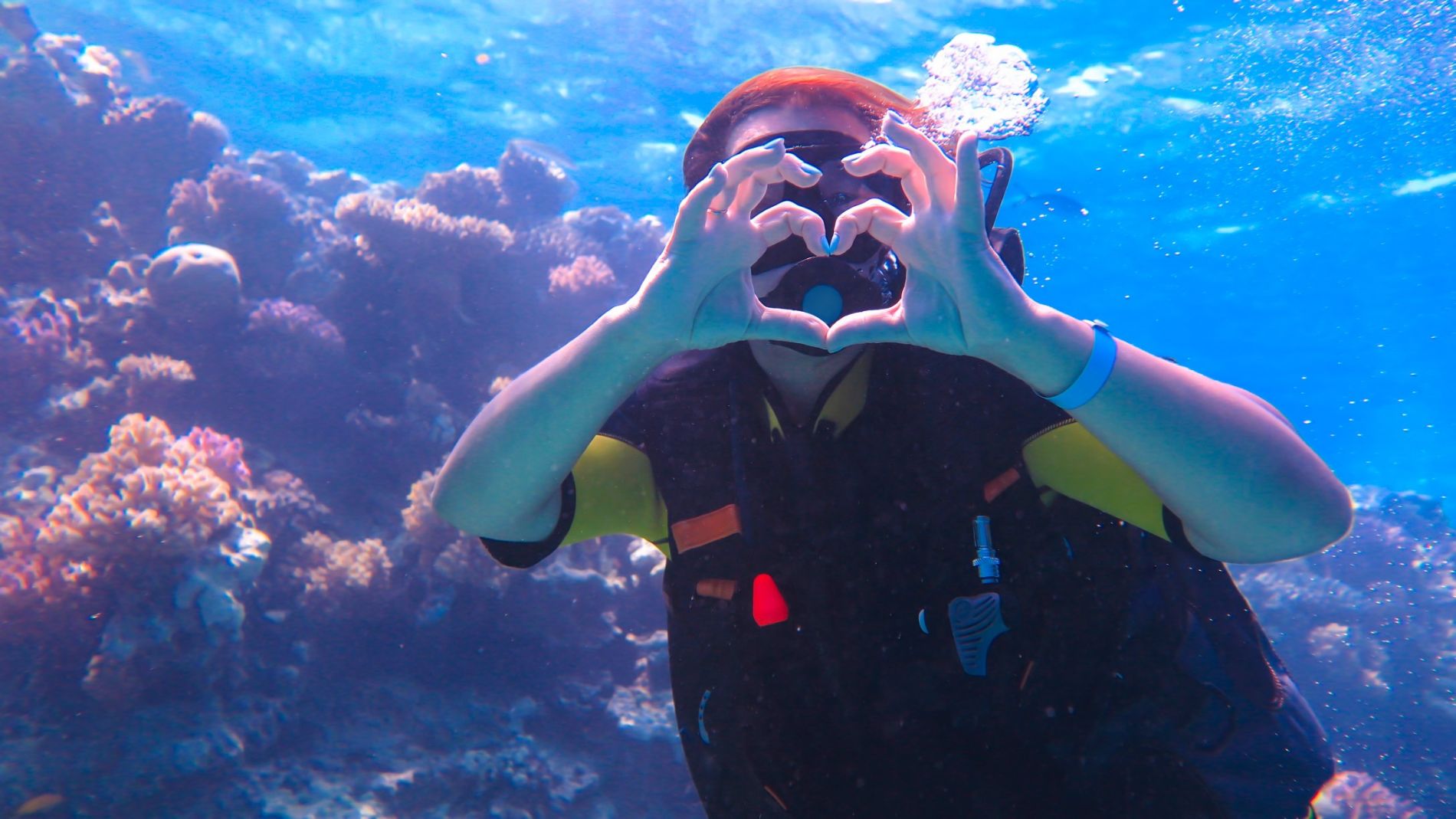 Discover Scuba Diving Excursion image