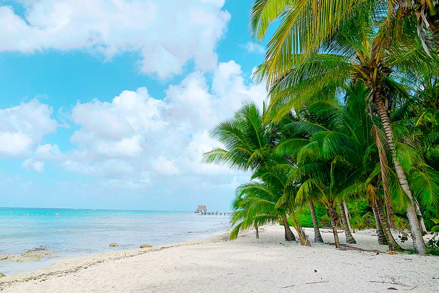 Beach tour category image