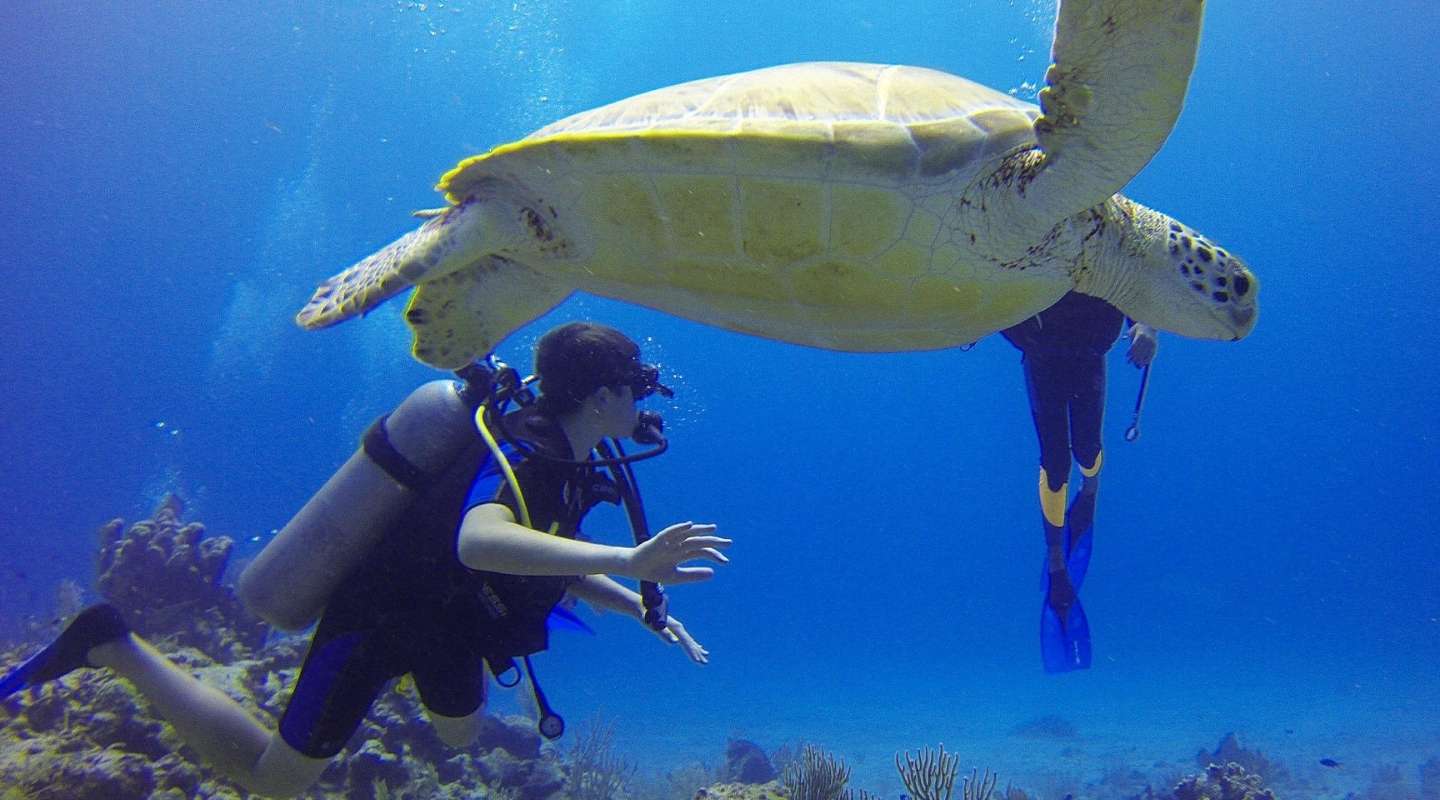 Man diving next to a sea turtle.