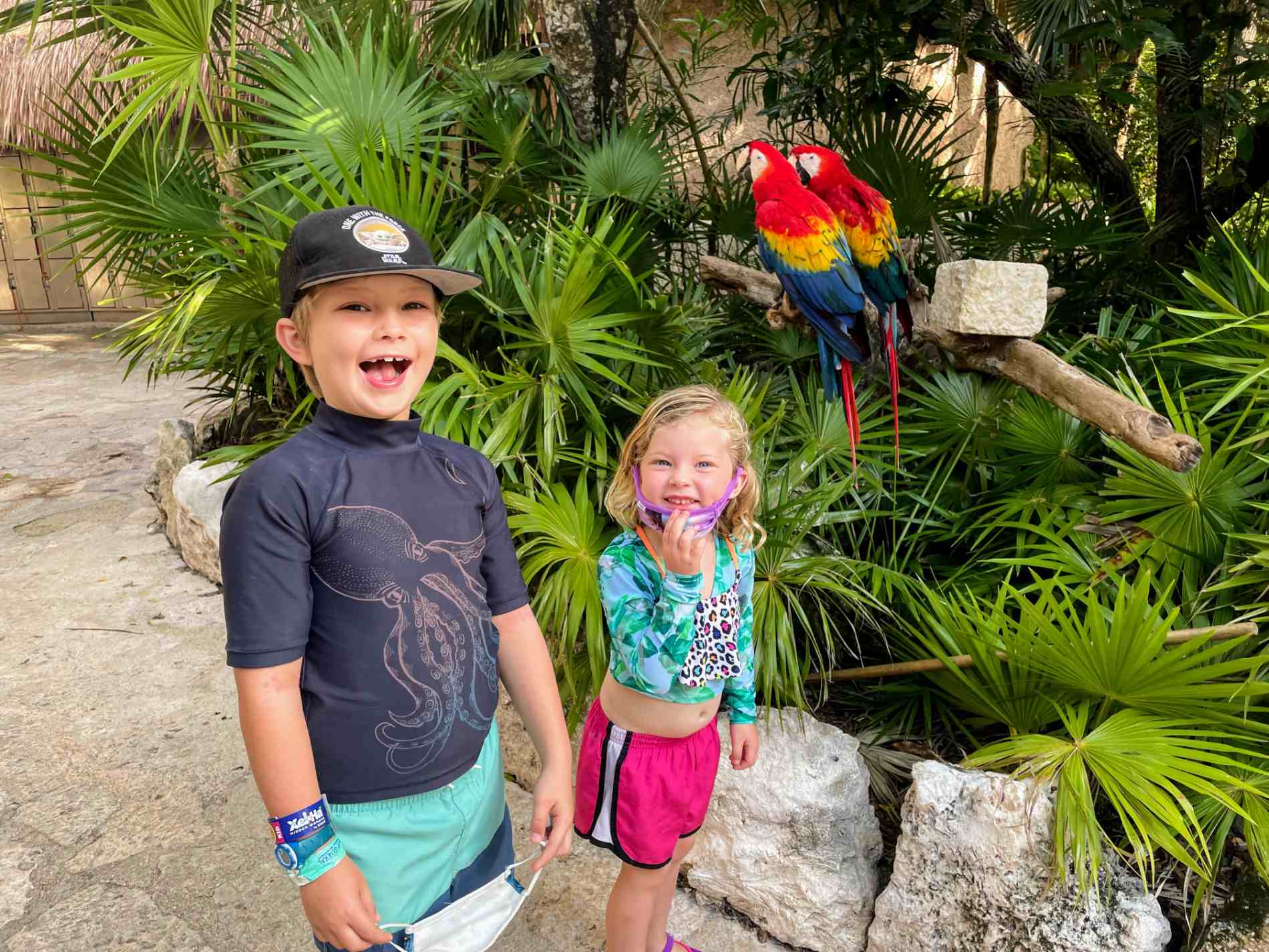 two kids standing by parrots