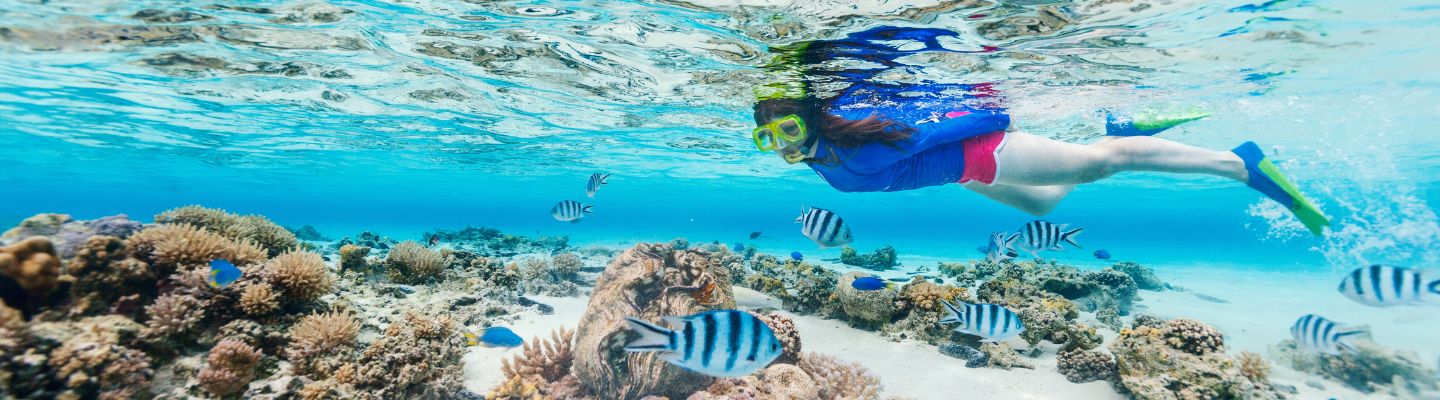 Top 15 Snorkeling Spots in Grand Cayman (2022 Guide) image