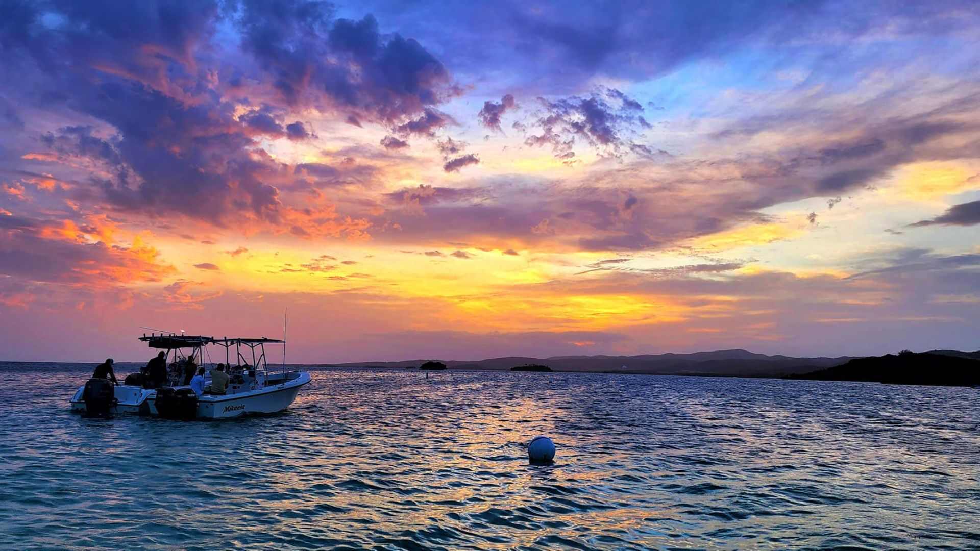 Bio Bay Puerto Rico - VIP Boat & Sunset Swim In Parguera image