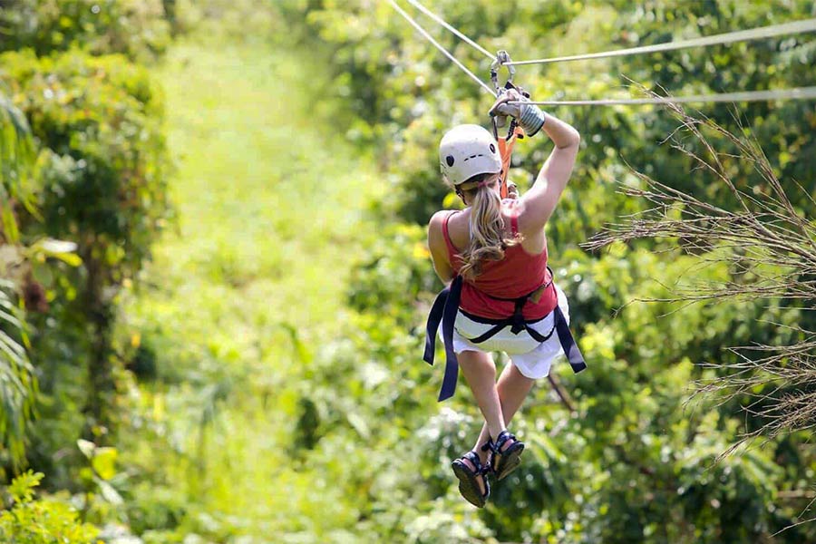 Zipline, Beach, & Wildlife Sanctuary image