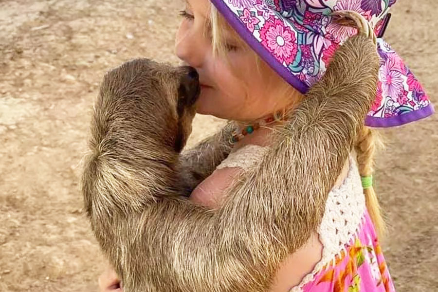 Sloth cuddle photo by Manawakie Eco Park (https://www.facebook.com/manawakieecopark/photos)