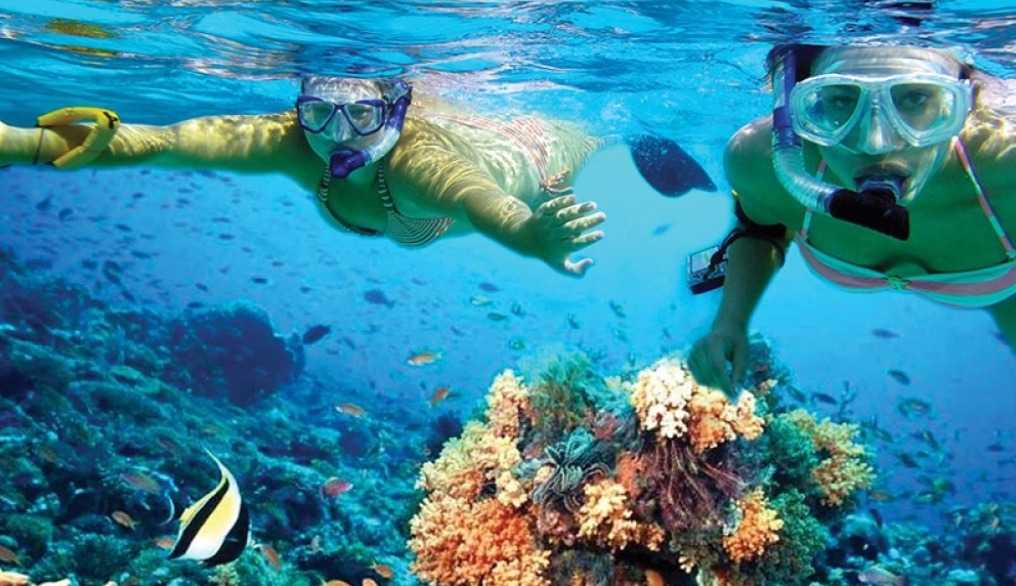 Snorkeling tour category image