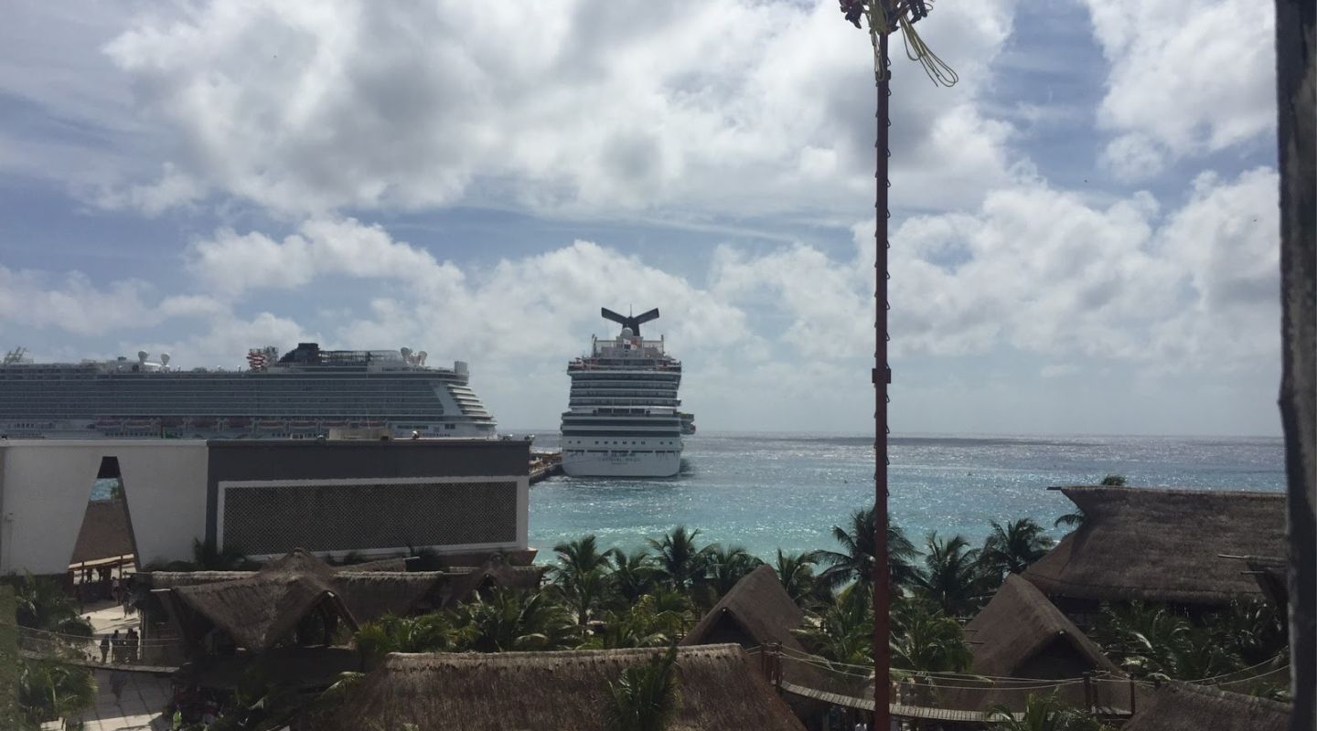 A huge cruise ship can be seen by a cruise port, with roofs and palm trees covering the bottom of the photo. 