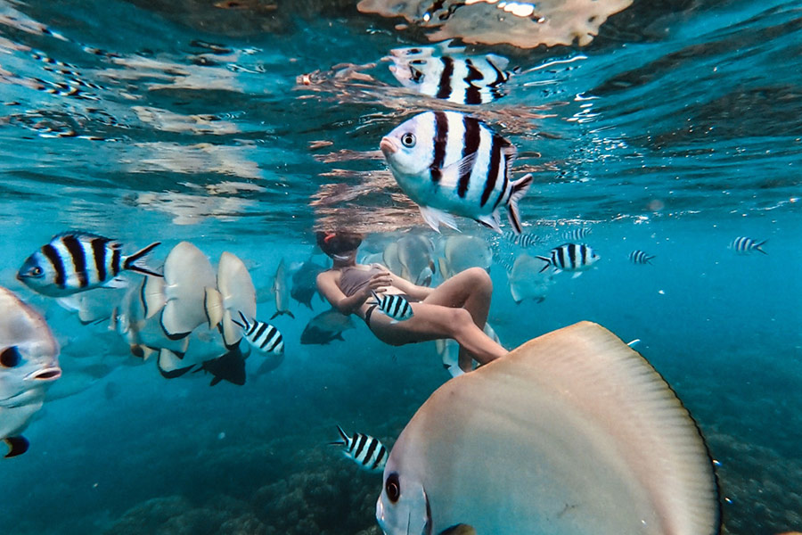 Roatan Snorkeling image