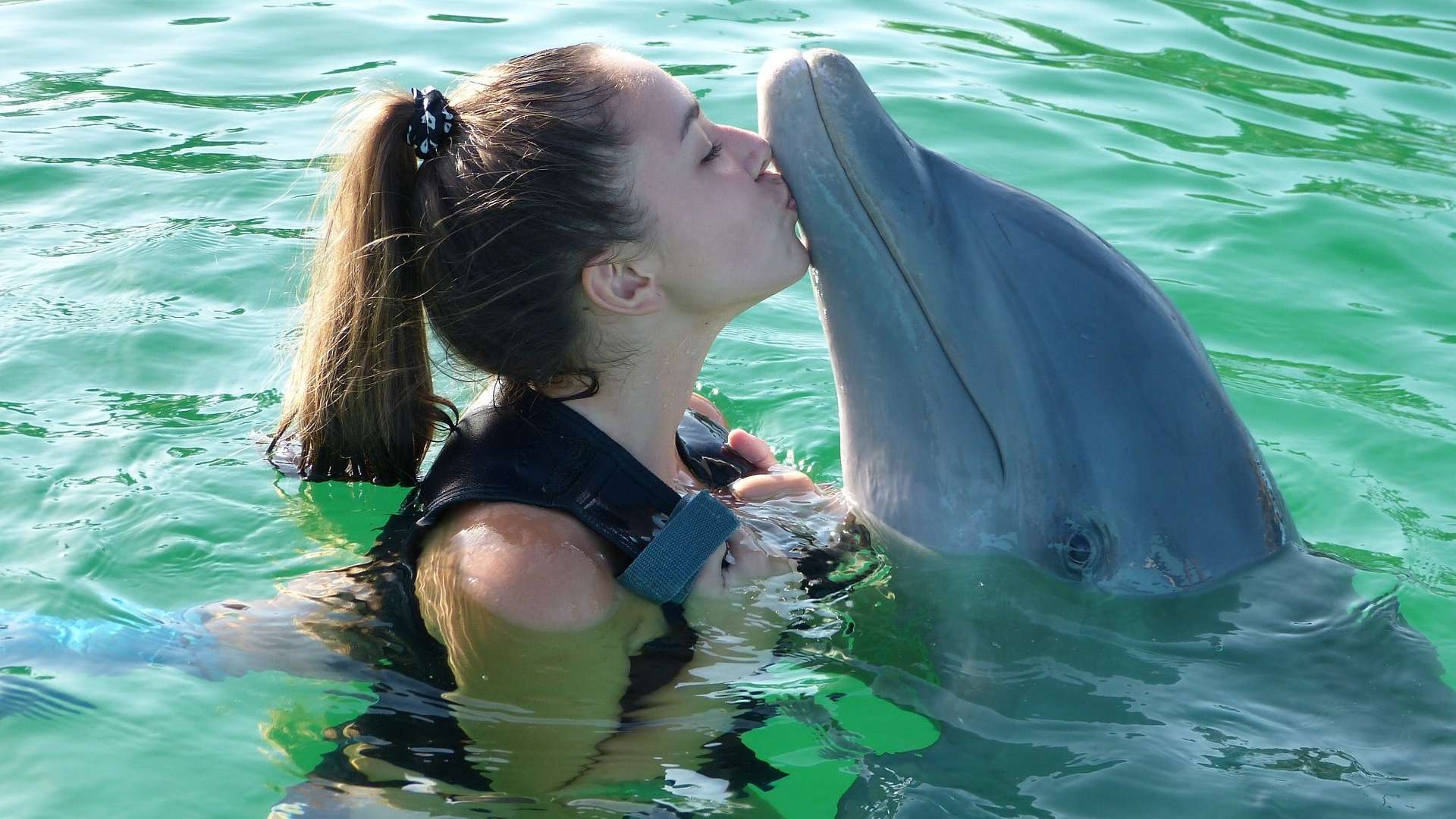 Cozumel Swim with Dolphins Adventure + Manatees image