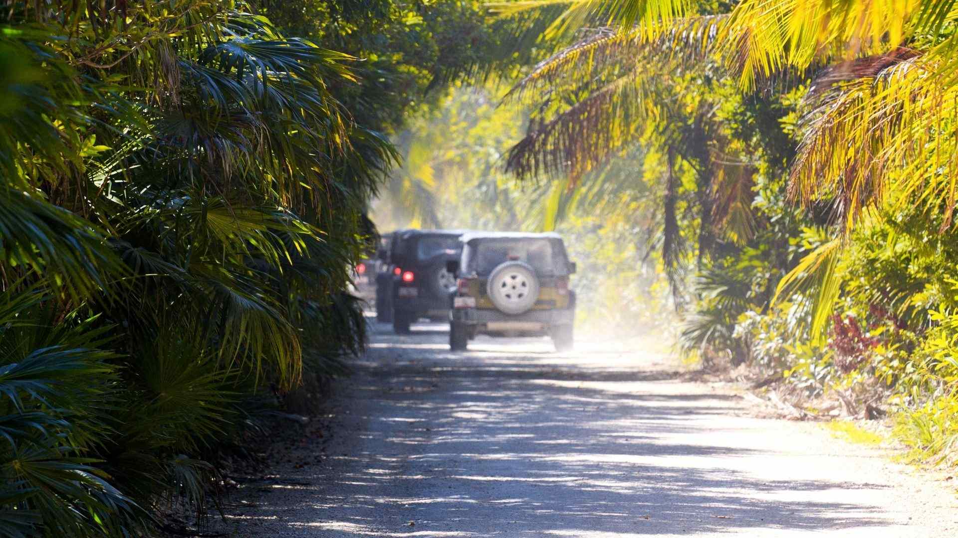 Cozumel Private Jeep Tour with Lunch and Snorkel | Cozumel Tourbase |  Cruise Friendly