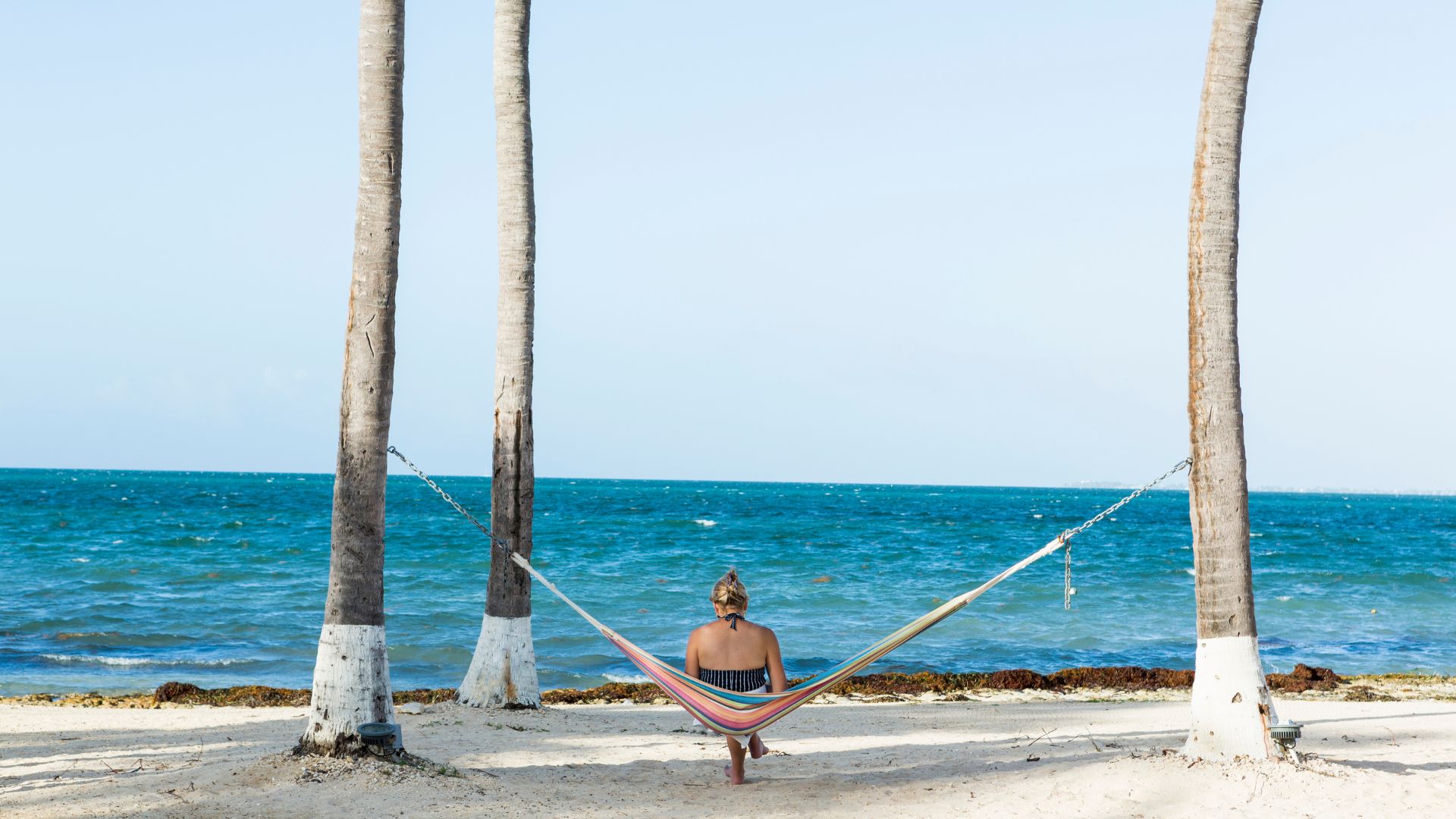 Back view of a woman, sitting on a hammock placed between two palm trees.