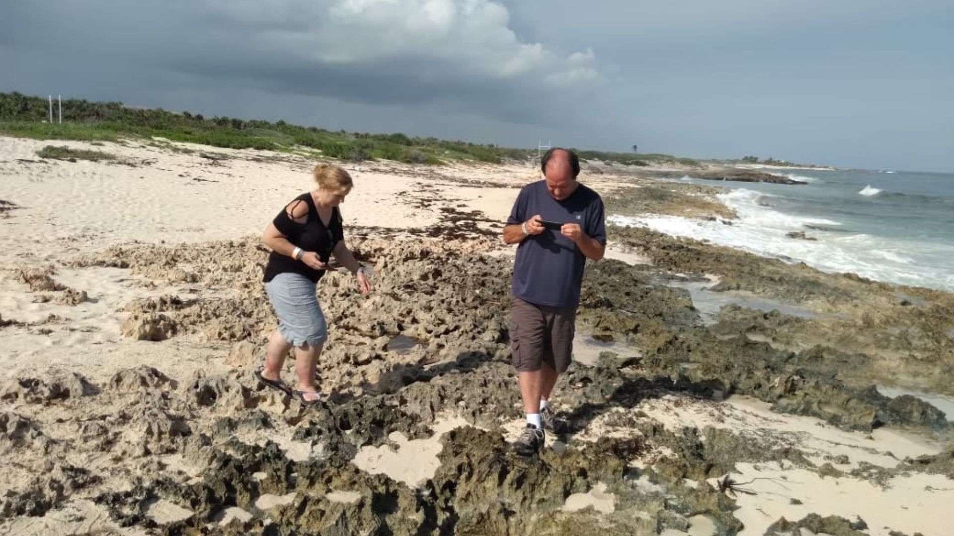 people hunting crabs on Cozumel beach