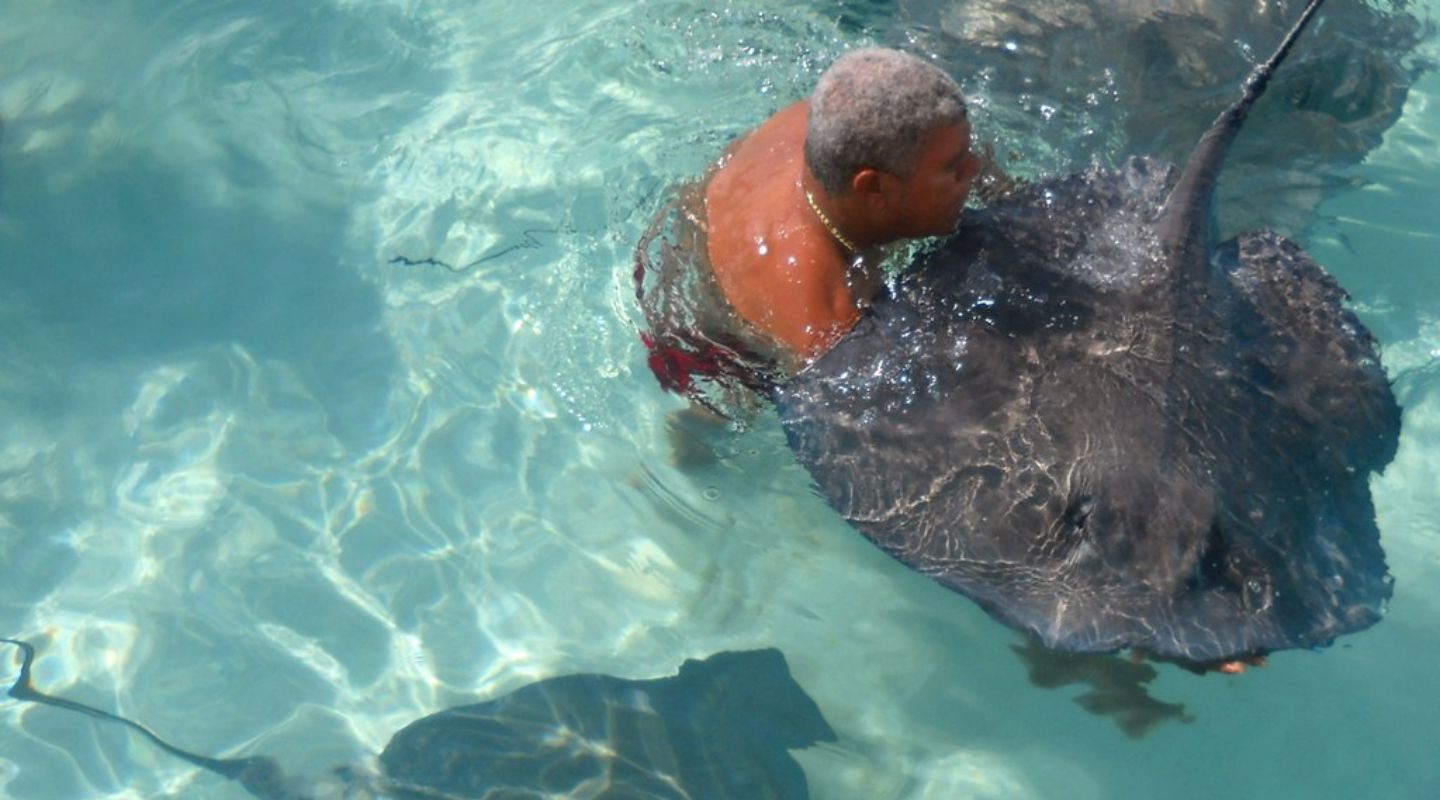 Man touching a stingray.