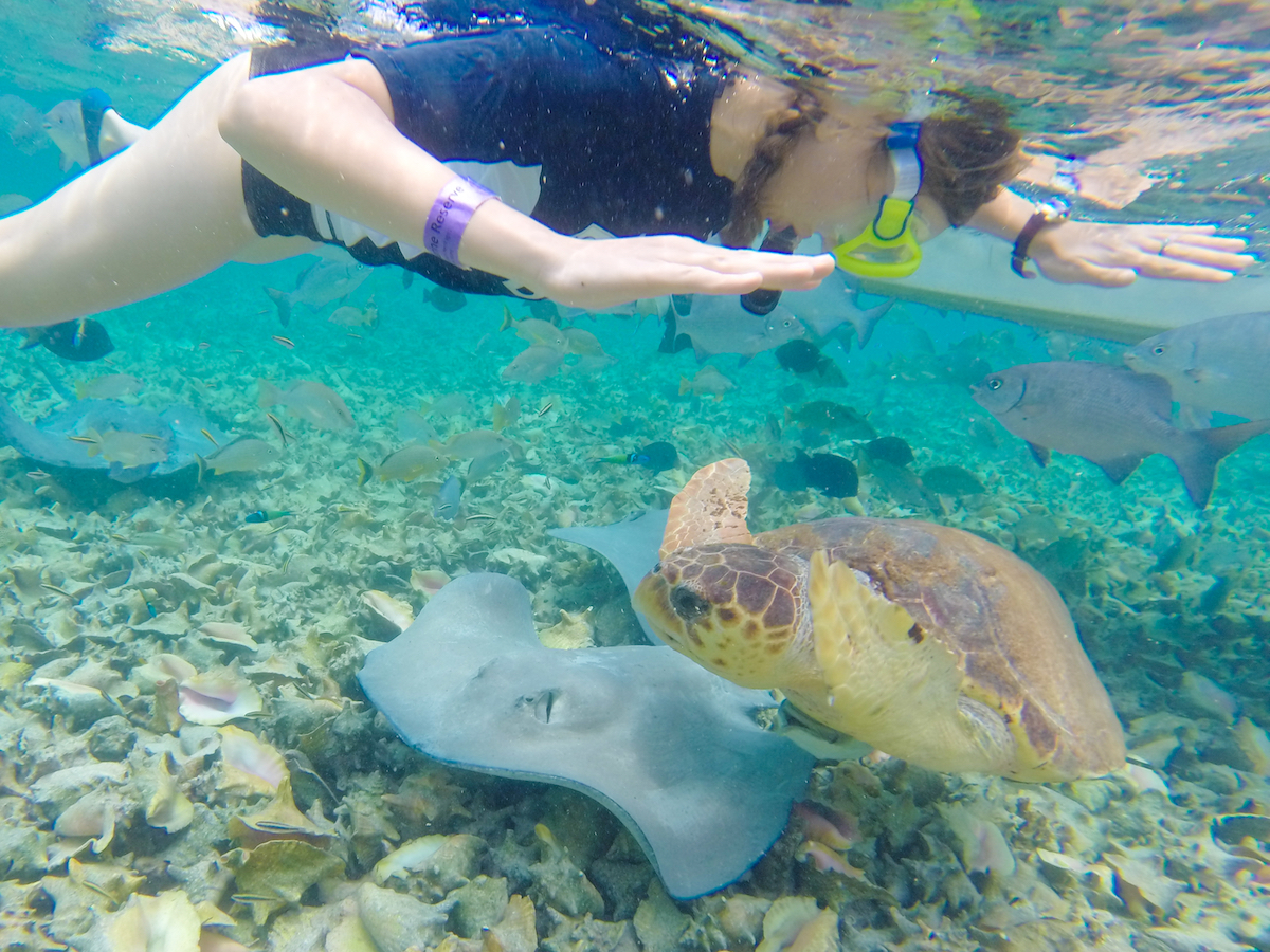 A diver in Belize.