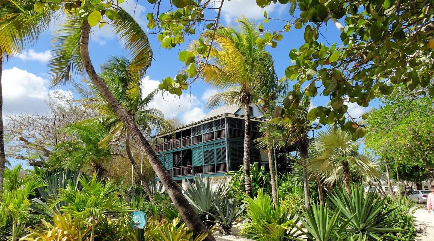 The Pedro St. James Castle viewed from between some foliage. 