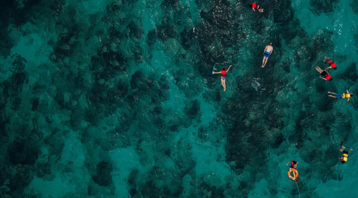 Aereal view of people snorkeling in dark blue waters