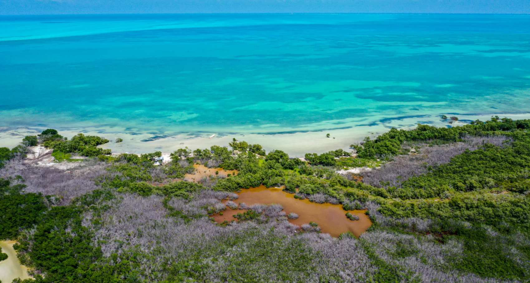turquoise waters of the Caribbean sea meets dry coastline