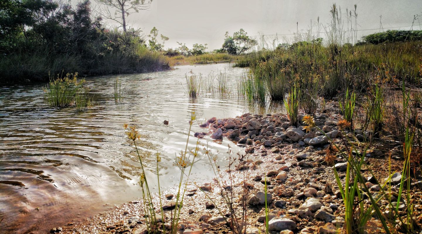 Photo of a puddle reflecting and overcast sky.