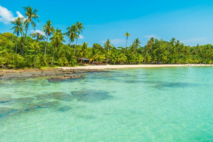 The greenery on the beach is presenting a beautiful scene