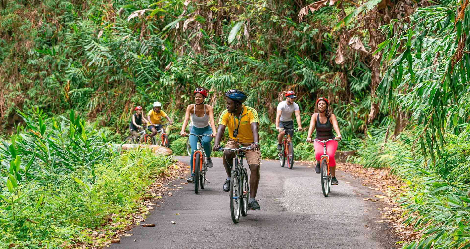Blue Mountain Bicycle Tour | Jamaica Tourbase