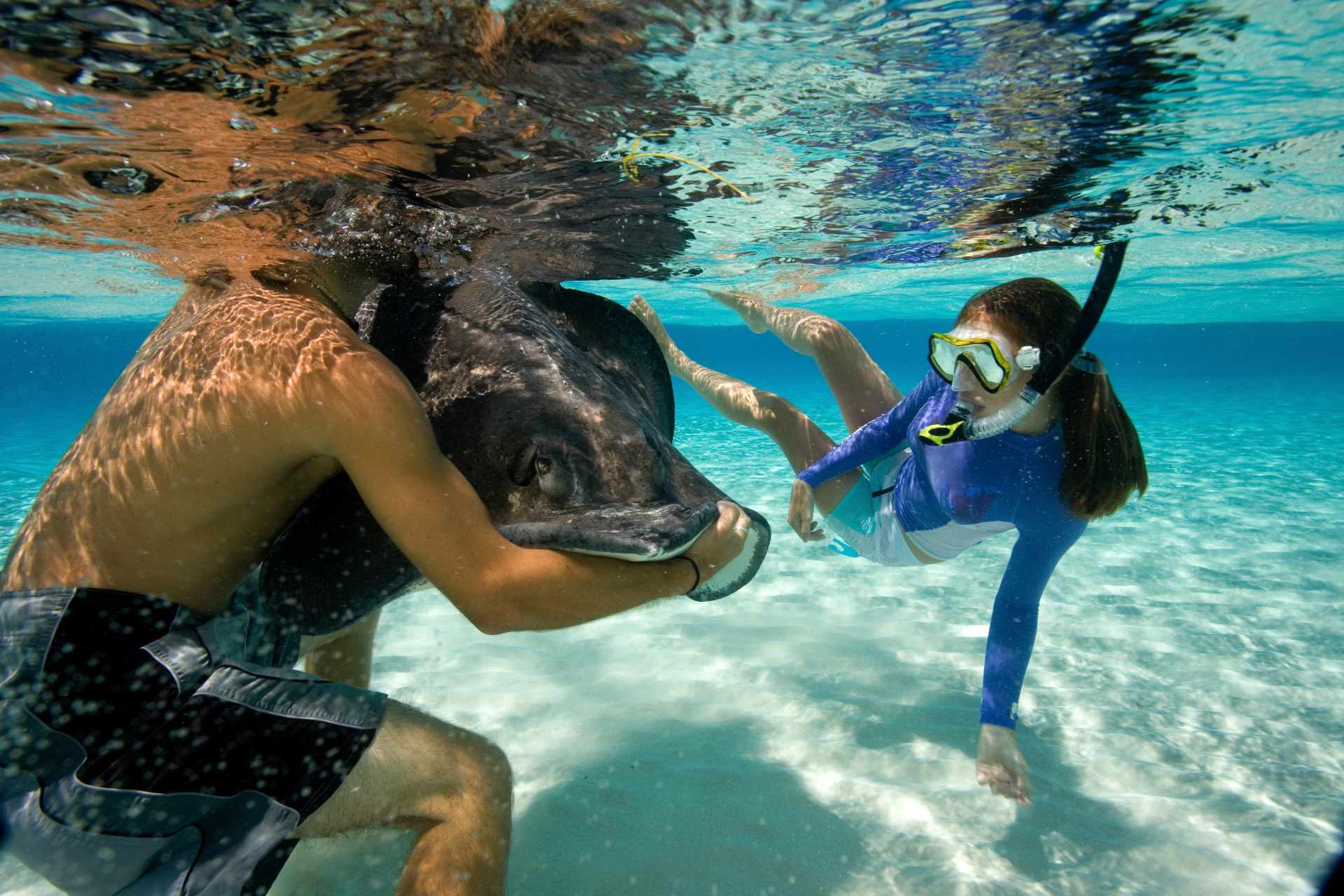 Stingray City tour category image