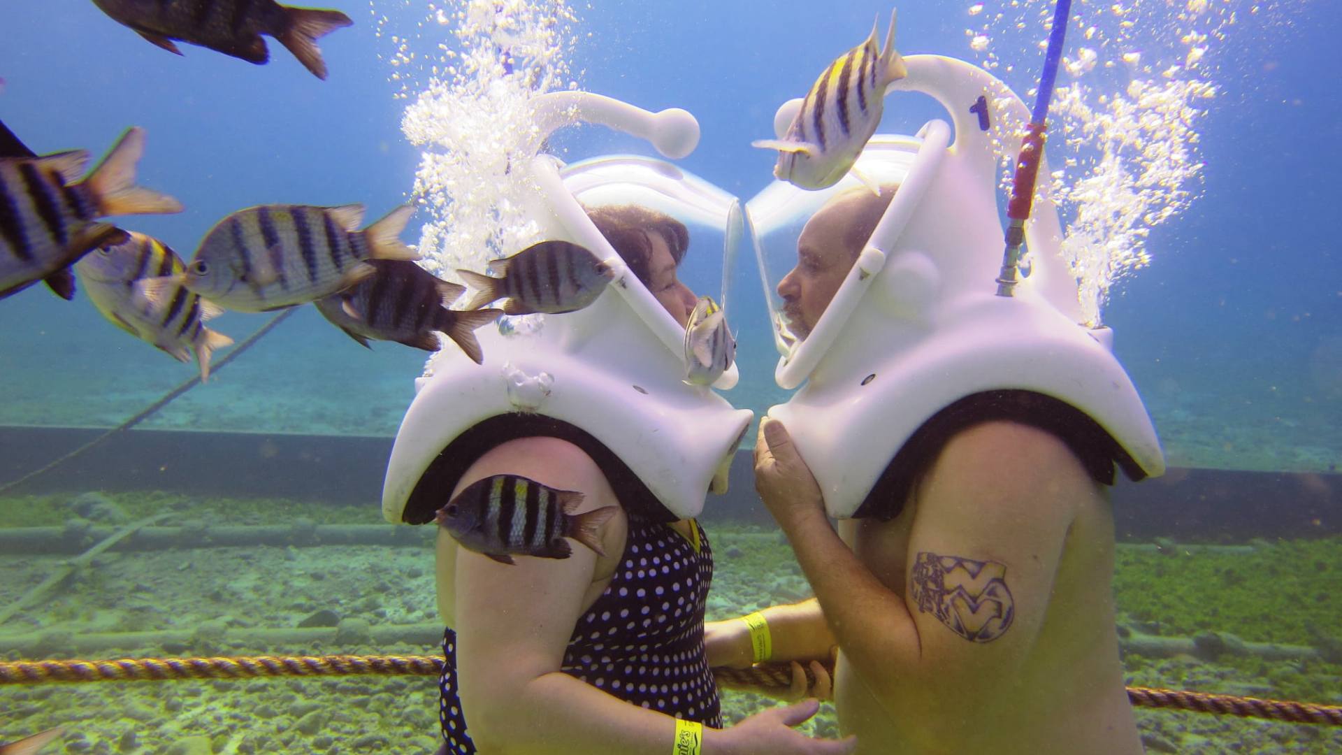 Cozumel Sea Trek: Underwater Adventure + Drinks and Snorkeling image