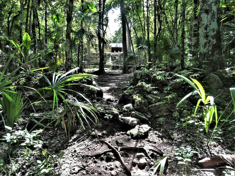 Our Favorite Archaeological Tours & Experiences in Tulum image