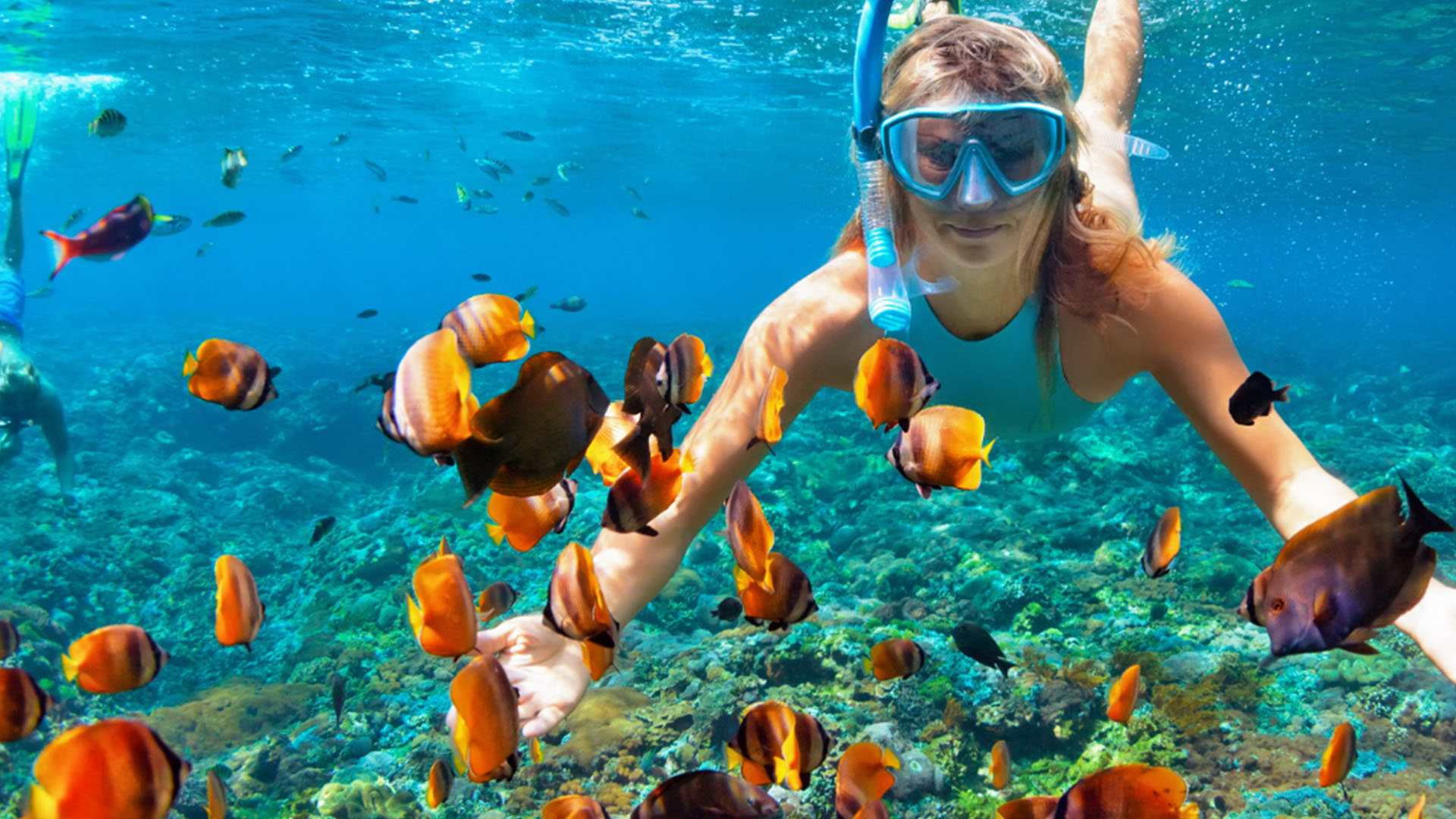 woman snorkeling underwater with fish