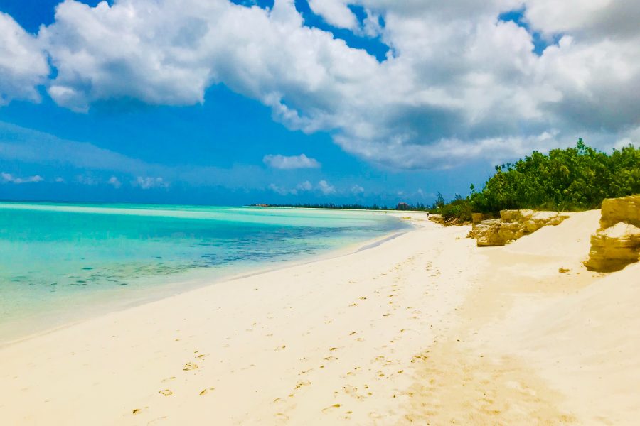 A beautiful view of the beach covered of white sand