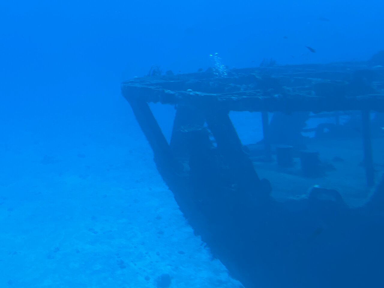 Atlantis Submarine Expedition In Cozumel | Cozumel Tourbase