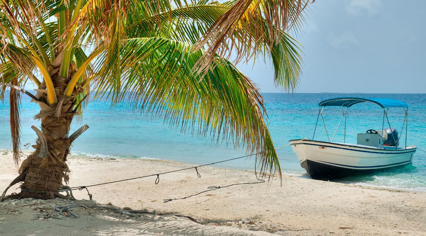 Small white boat on the beach.